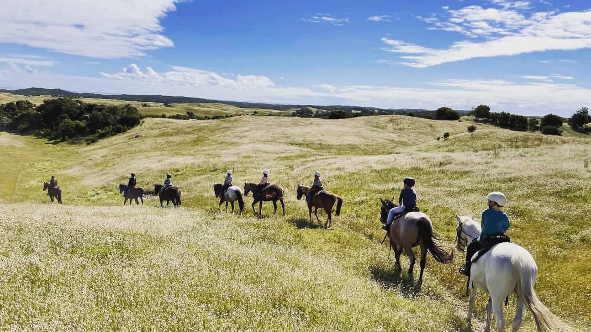 The Ranch Mornington Peninsula photo 3
