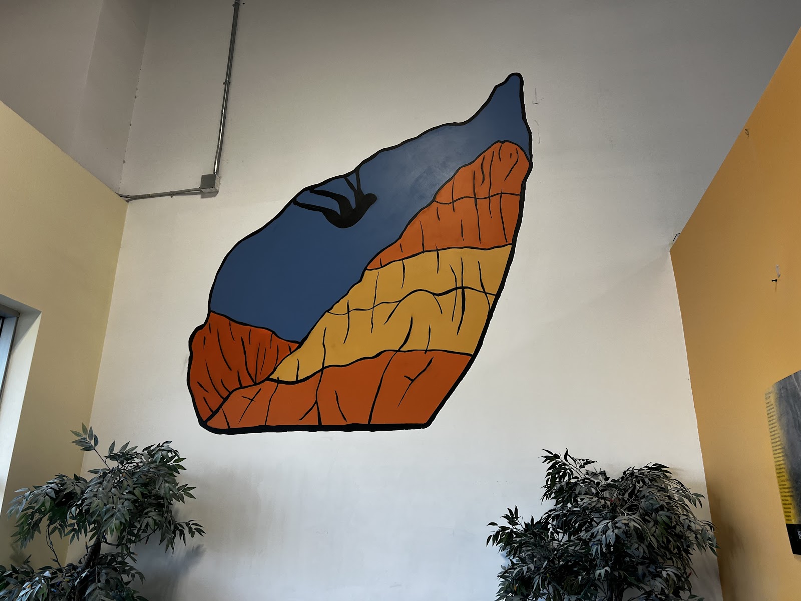The Refuge Climbing and Fitness