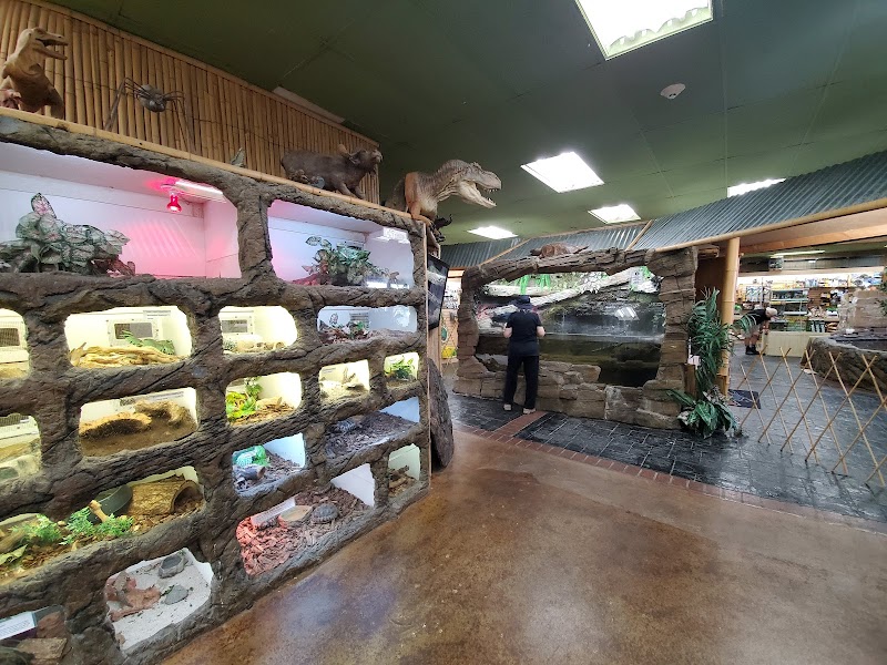 The Reptile Zoo photo 2