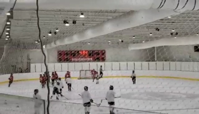 The Rink on the Beach