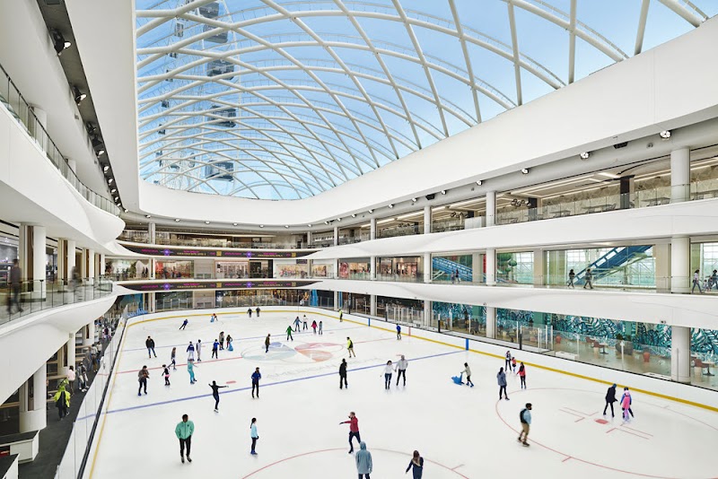 The Rink @ The Arena