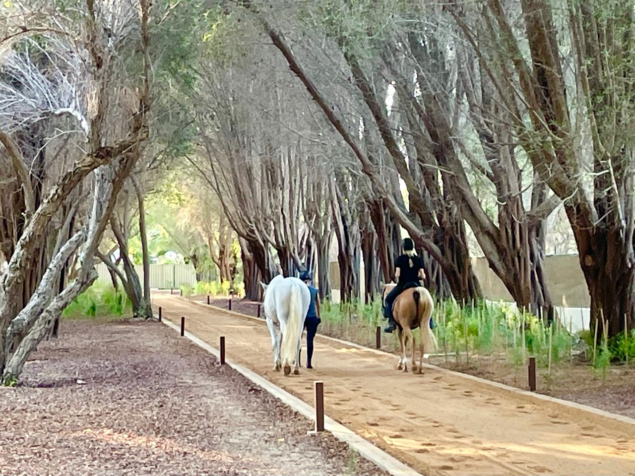 The Royal Stables photo 2