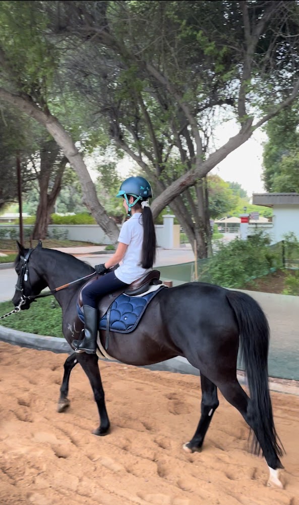 The Royal Stables photo 3