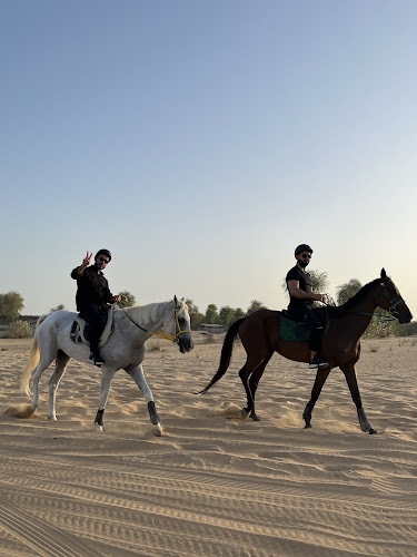 The Saddle Equestrian Club