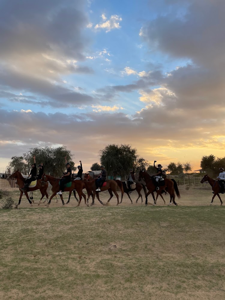 The Saddle Equestrian Club photo 2
