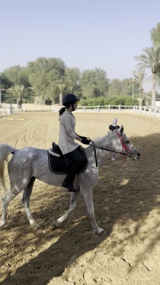 The Saddle Equestrian Club photo 3