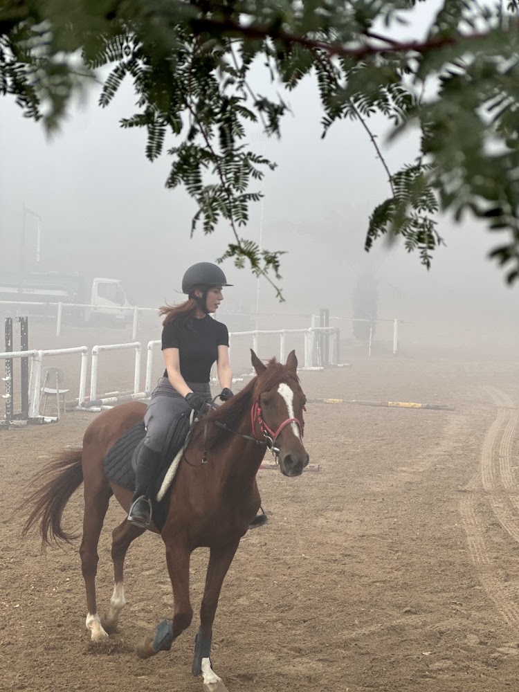 The Saddle Equestrian Club photo 5