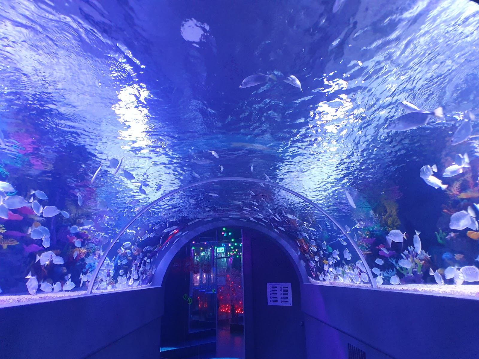The Shore Oceanarium Melaka