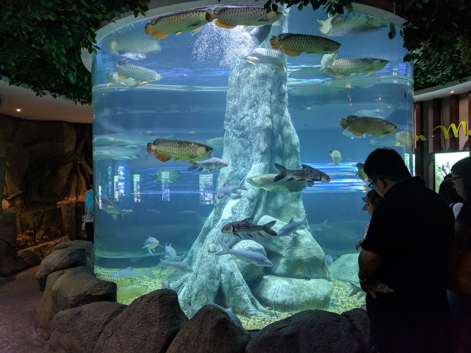 The Shore Oceanarium Melaka photo 2