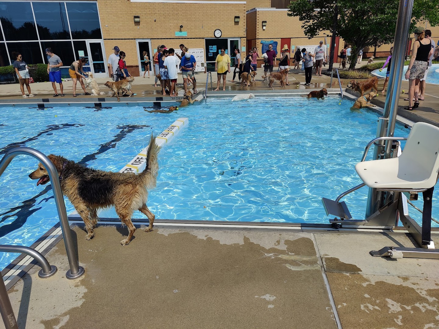 The Sidney and Lois Eskenazi Pool at the Arthur M. Glick JCC photo 2