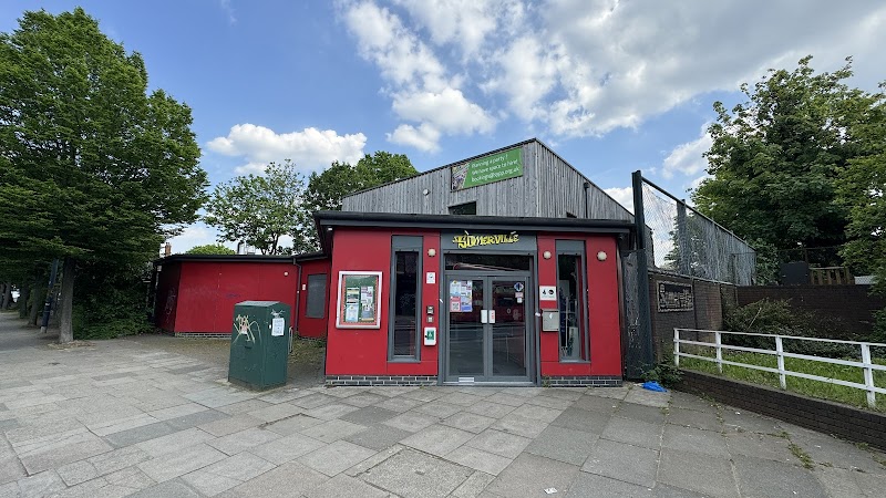 The Somerville - A Place for Everyone