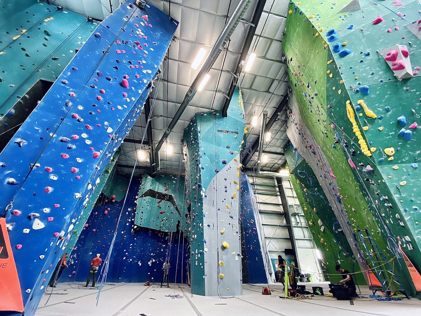 The Spot Climbing Gym photo 3