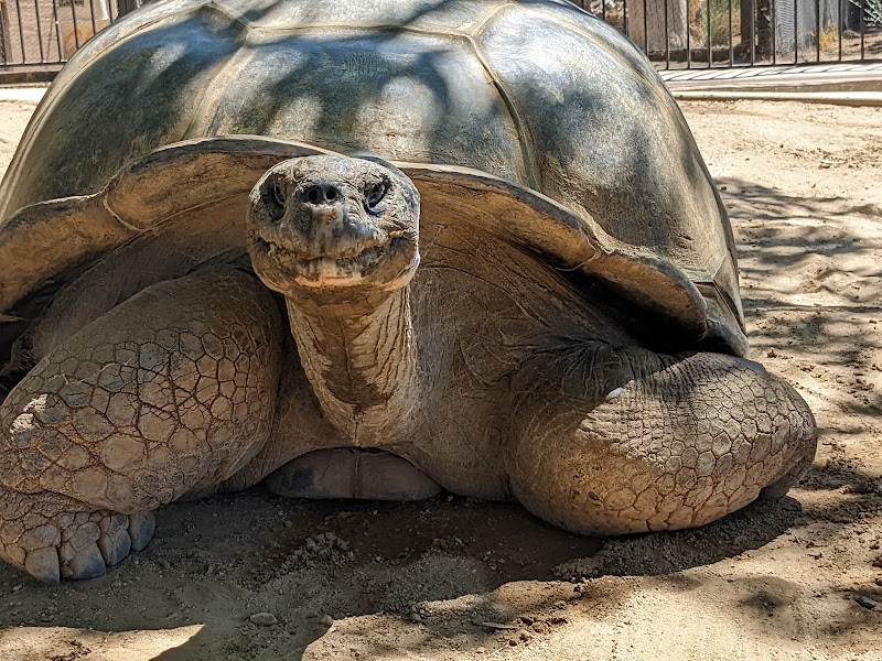 The Teaching Zoo at Moorpark College