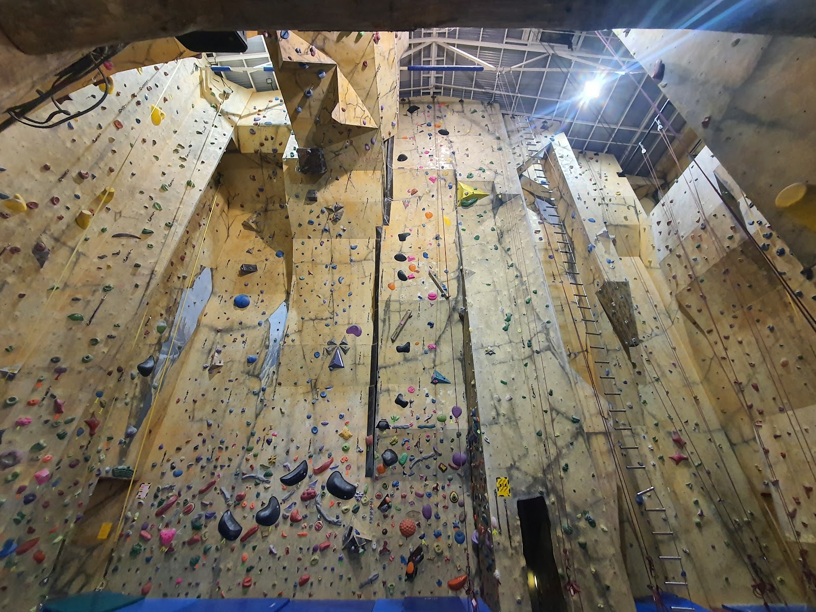 The Wall and Basement Cinema photo 2