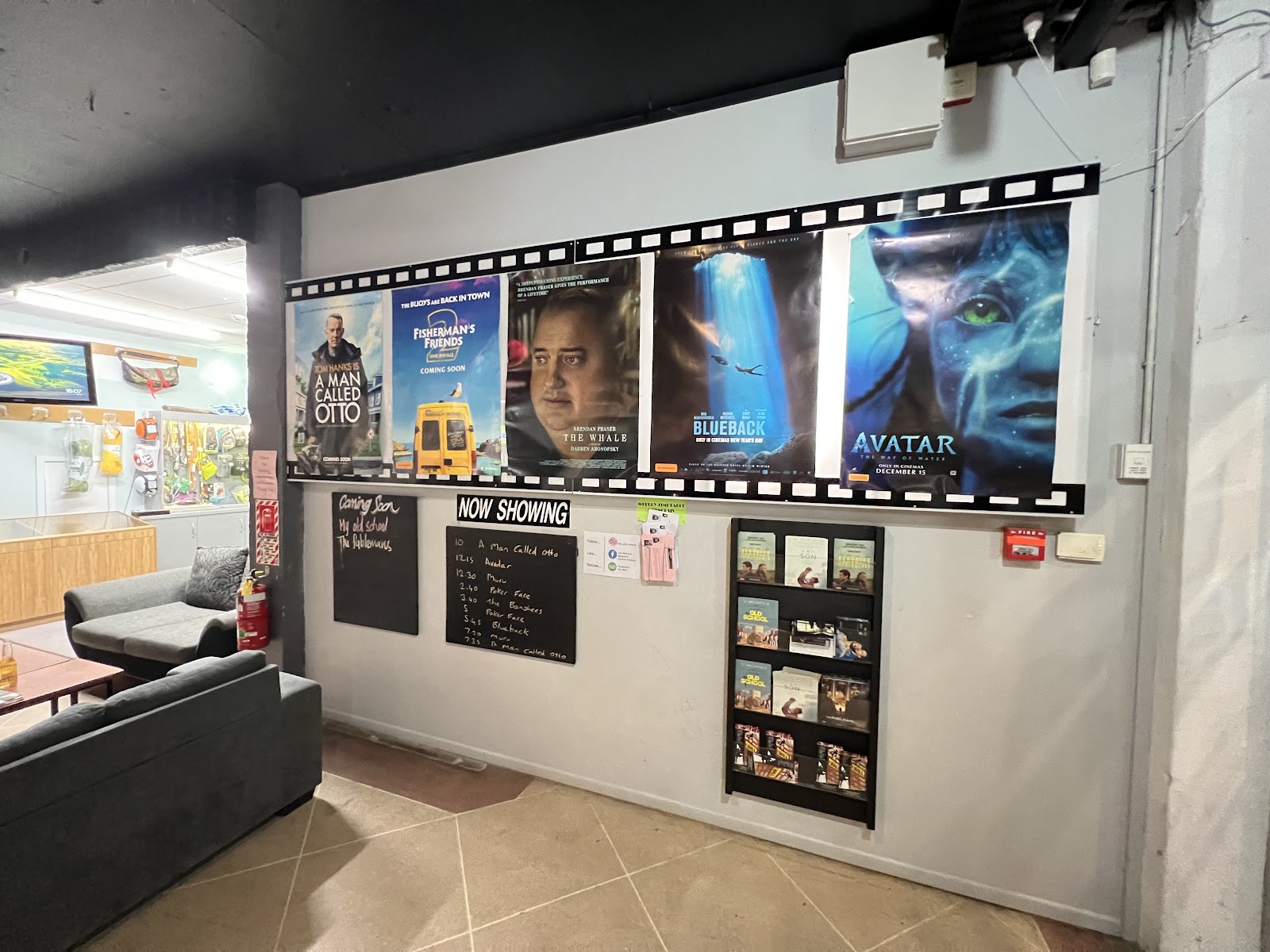 The Wall and Basement Cinema photo 3