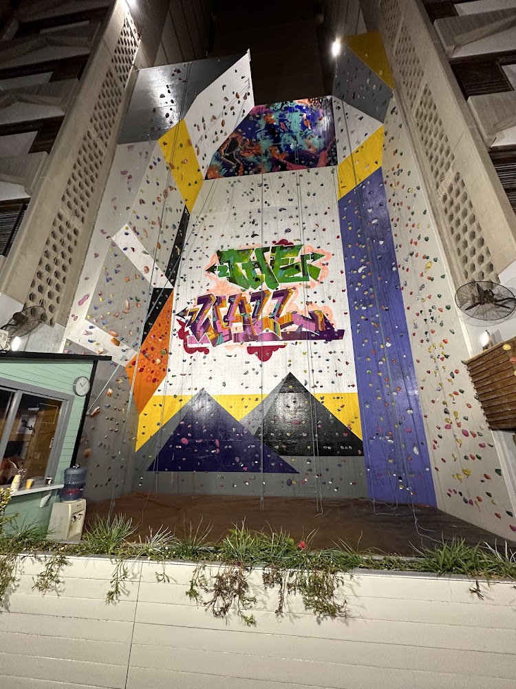 The Wall Climbing Gym photo 4