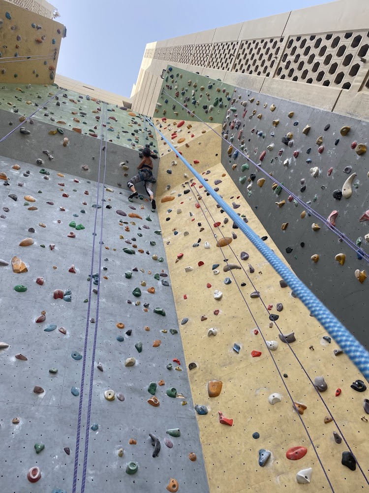 The Wall Climbing Gym photo 5