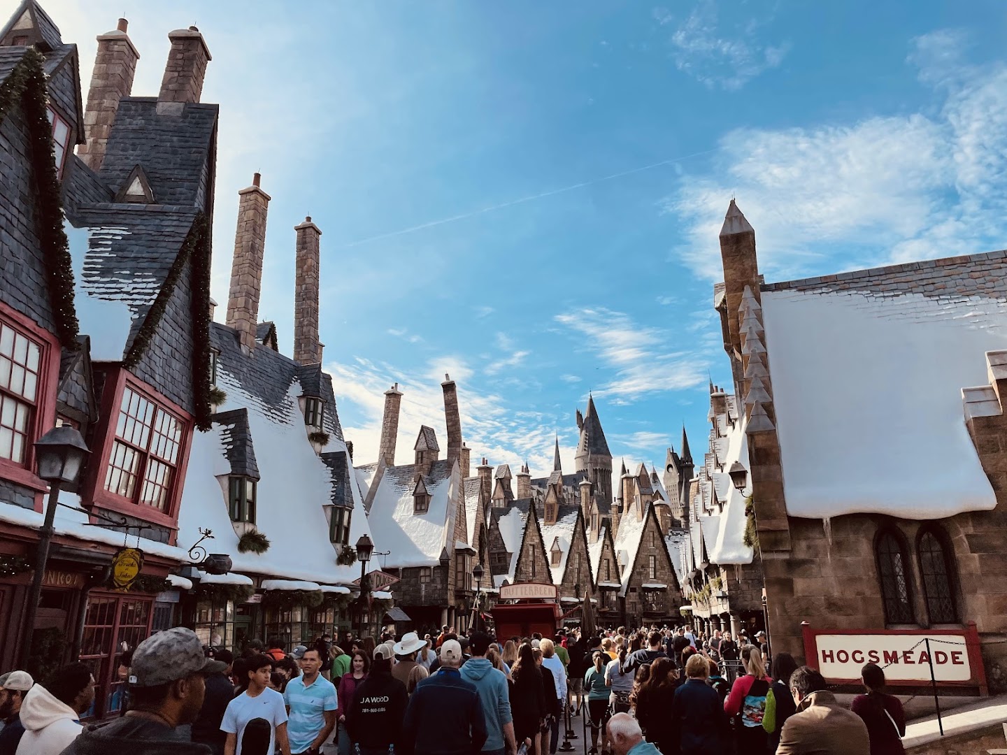 The Wizarding World of Harry Potter - Hogsmeade photo 3