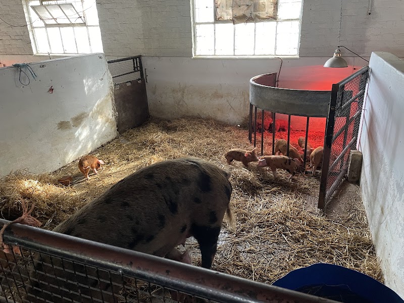The Woodlands Farm Trust photo 2