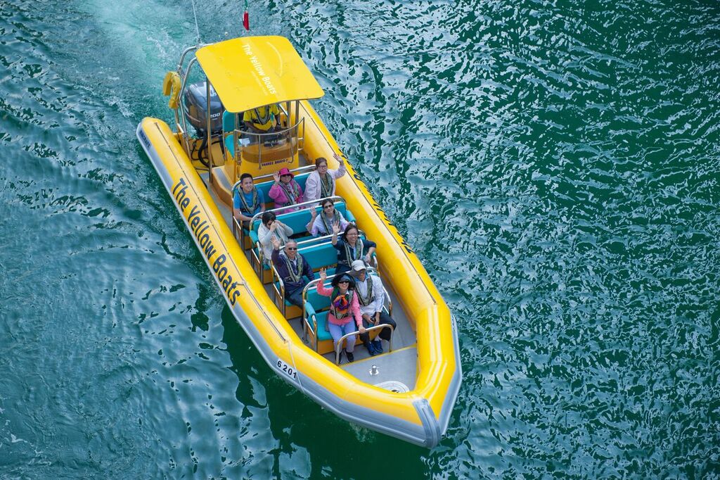 The Yellow Boats