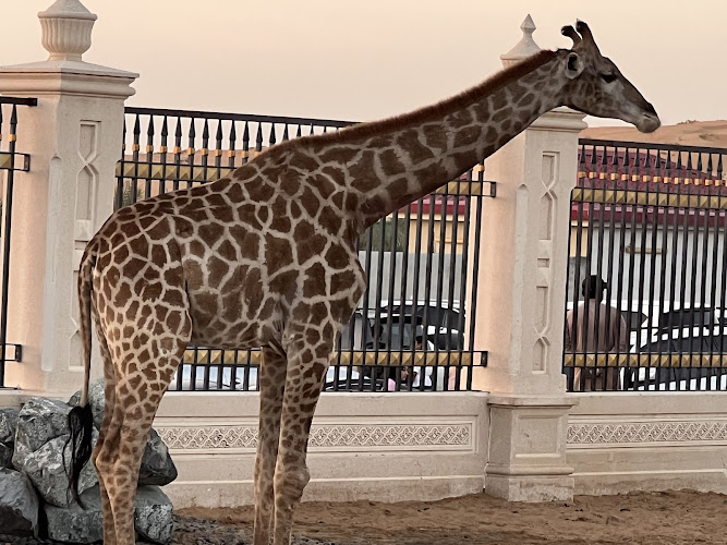 The Zoo Wild Life Park Umm Al Quwain
