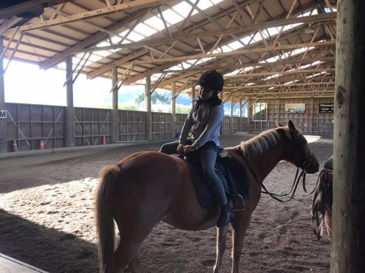 Thompson's Horse Centre Ltd