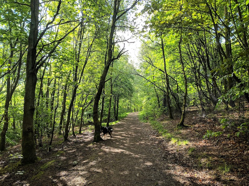 Three Sisters Local Nature Reserve photo 2