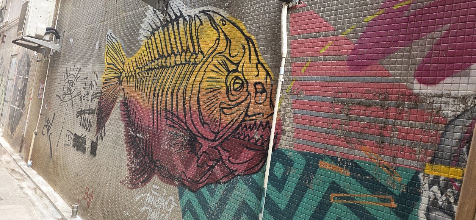 Thy Lane 旲里 photo 3