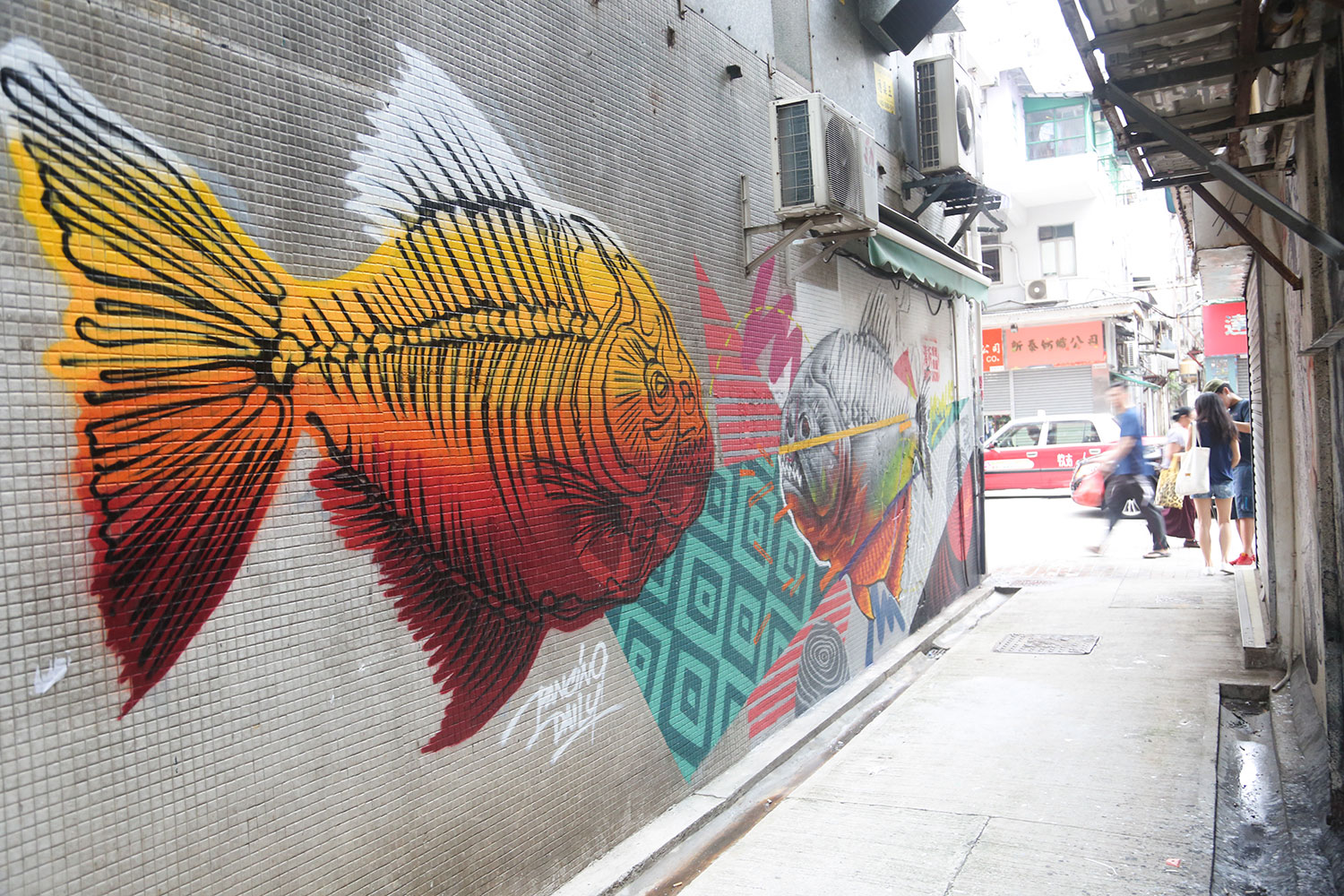 Thy Lane 旲里 photo 5