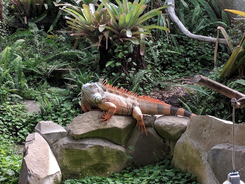 Ti Point Reptile Park