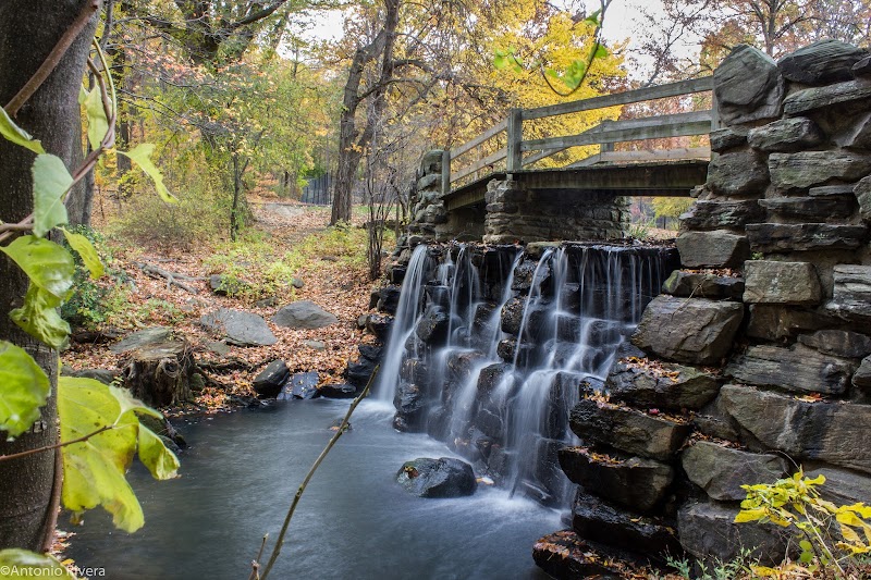 Tibbetts Brook Park photo 2
