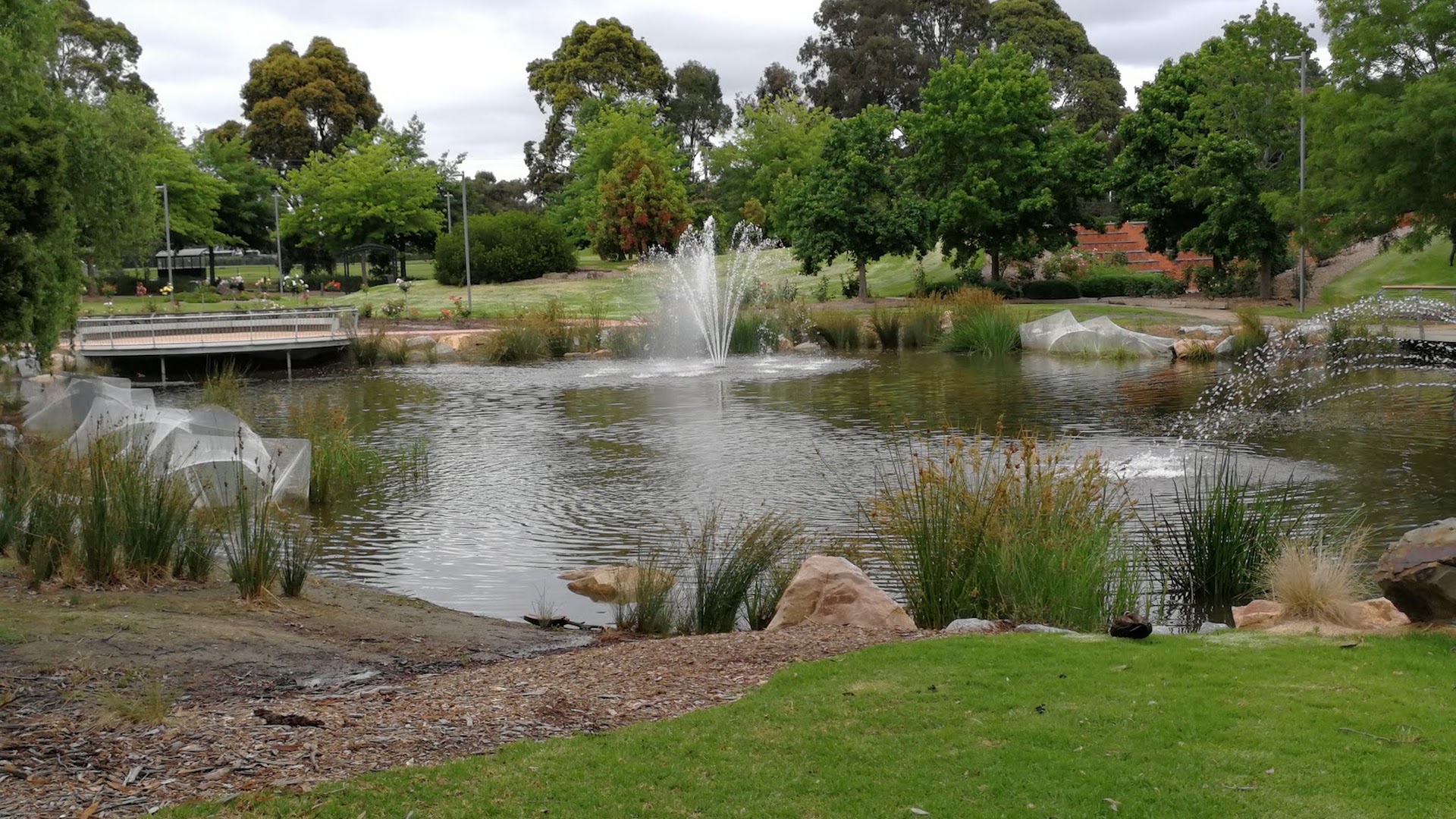 Tim Neville Arboretum photo 2