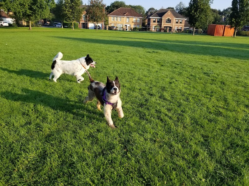 Timperley Green photo 2