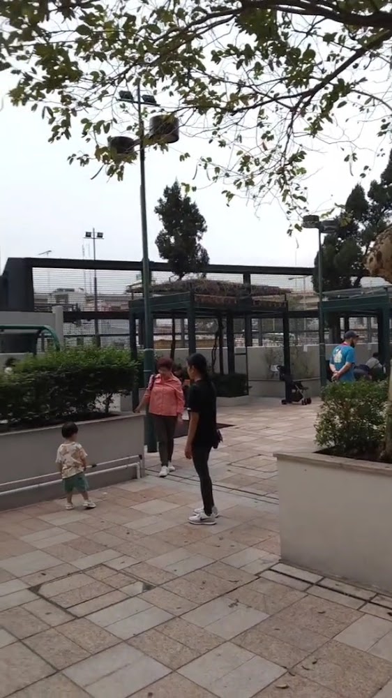 Tin Chiu Street Children's Playground photo 3