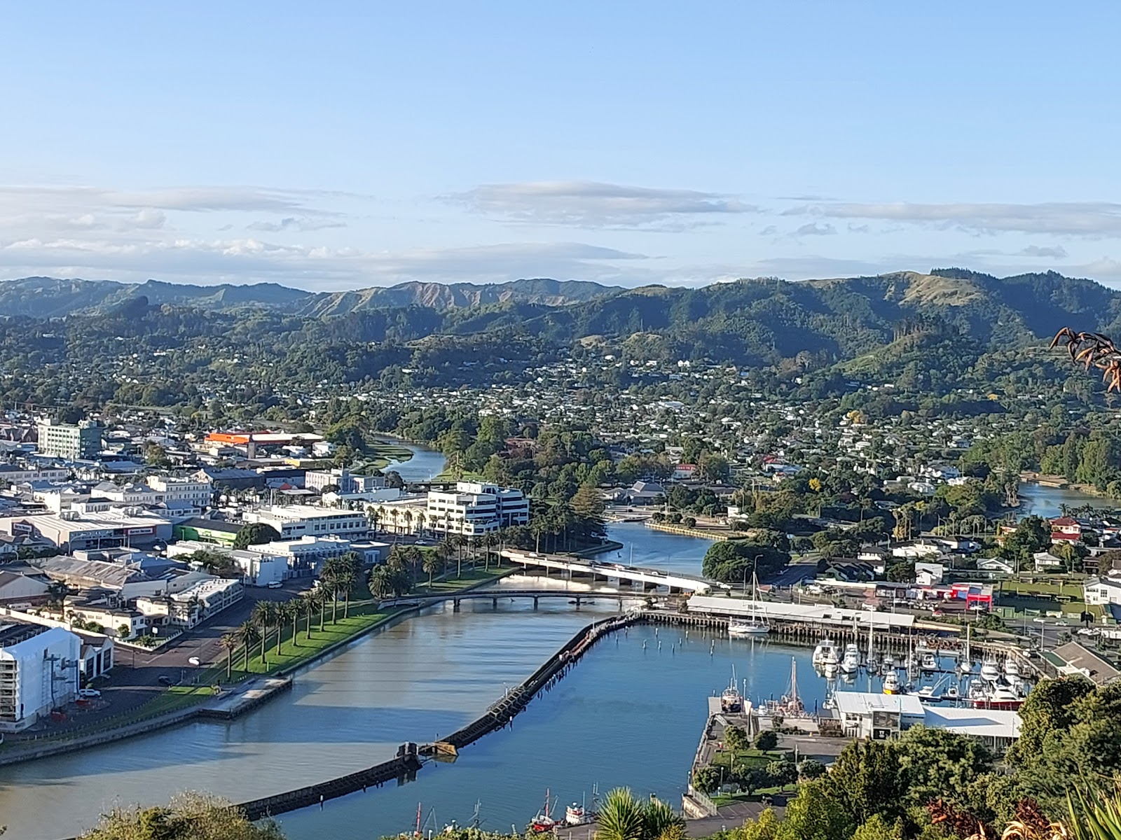 Titirangi Reserve