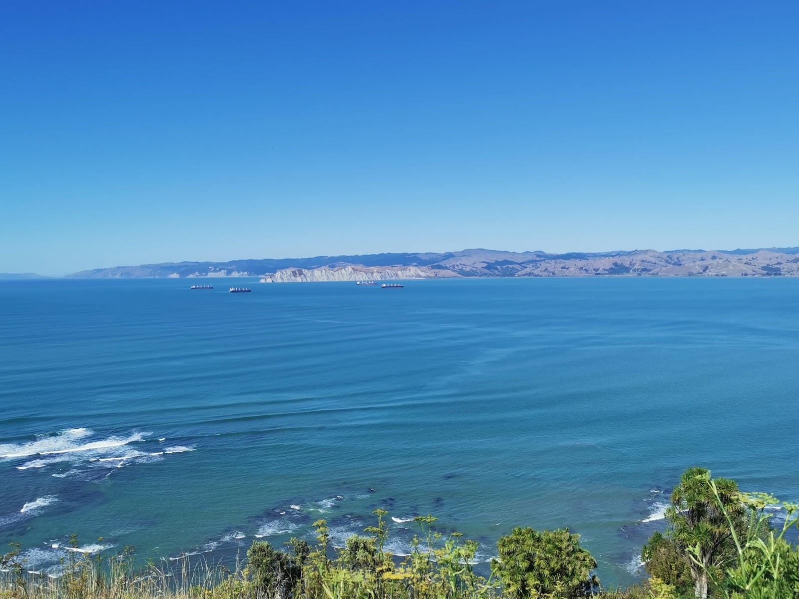 Titirangi Reserve photo 3