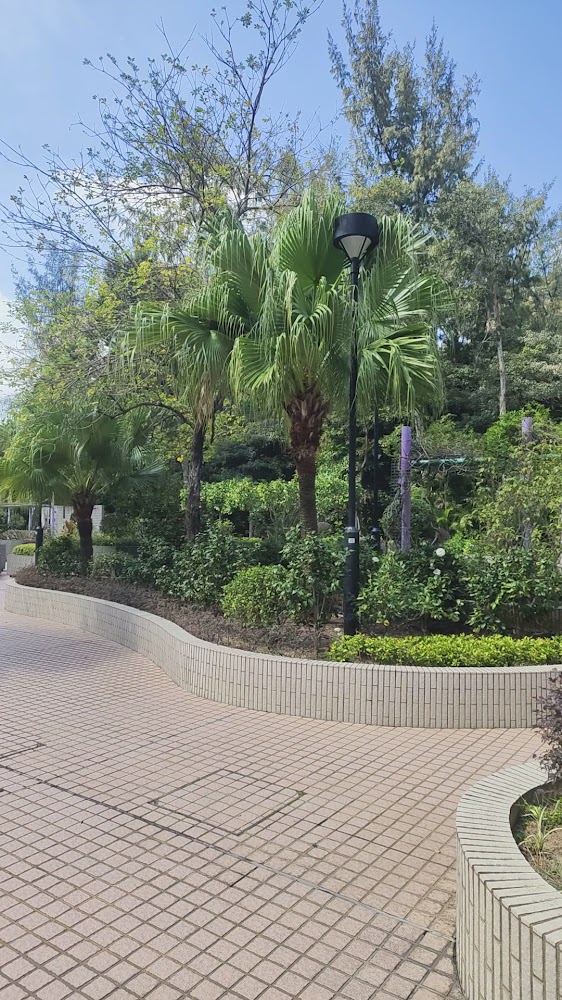 To Yuen Street Playground photo 3