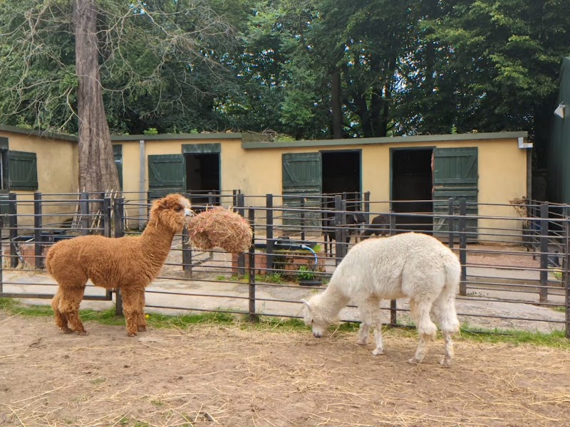 Tollcross Farm photo 2