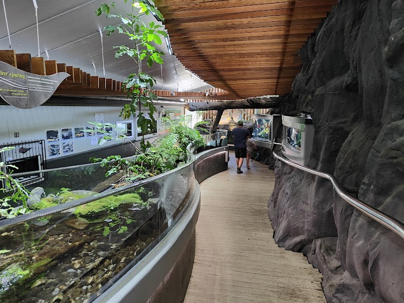 Tongariro National Trout Centre photo 2