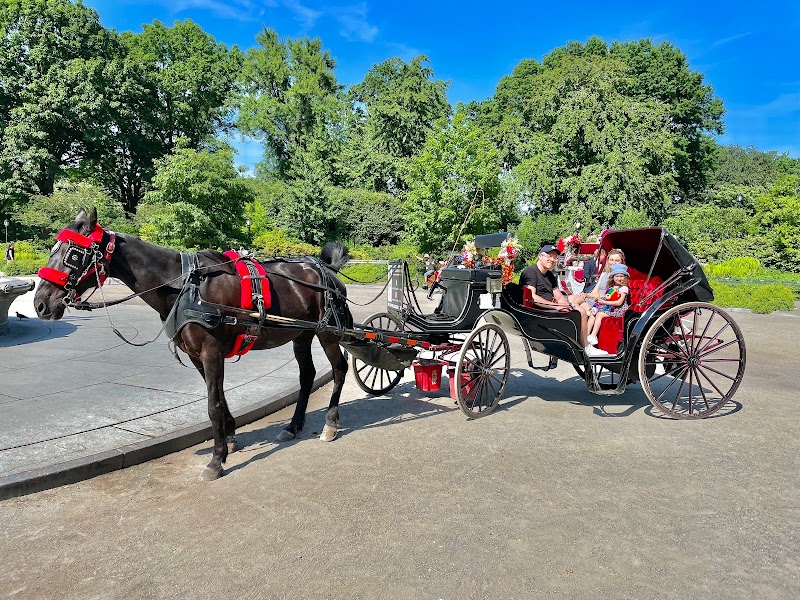 Top Hat NY Horse & Carriage