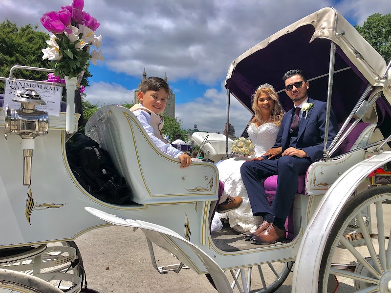 Top Hat NY Horse & Carriage photo 2