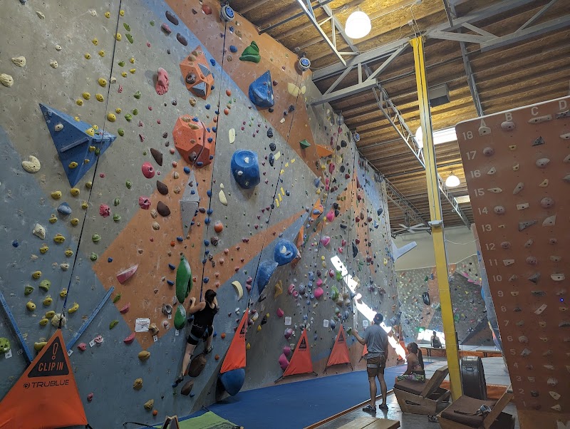 Top Out Climbing Gym photo 2