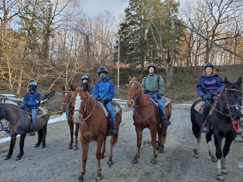 Photo of Top View Riding Ranch trails and sales in New York