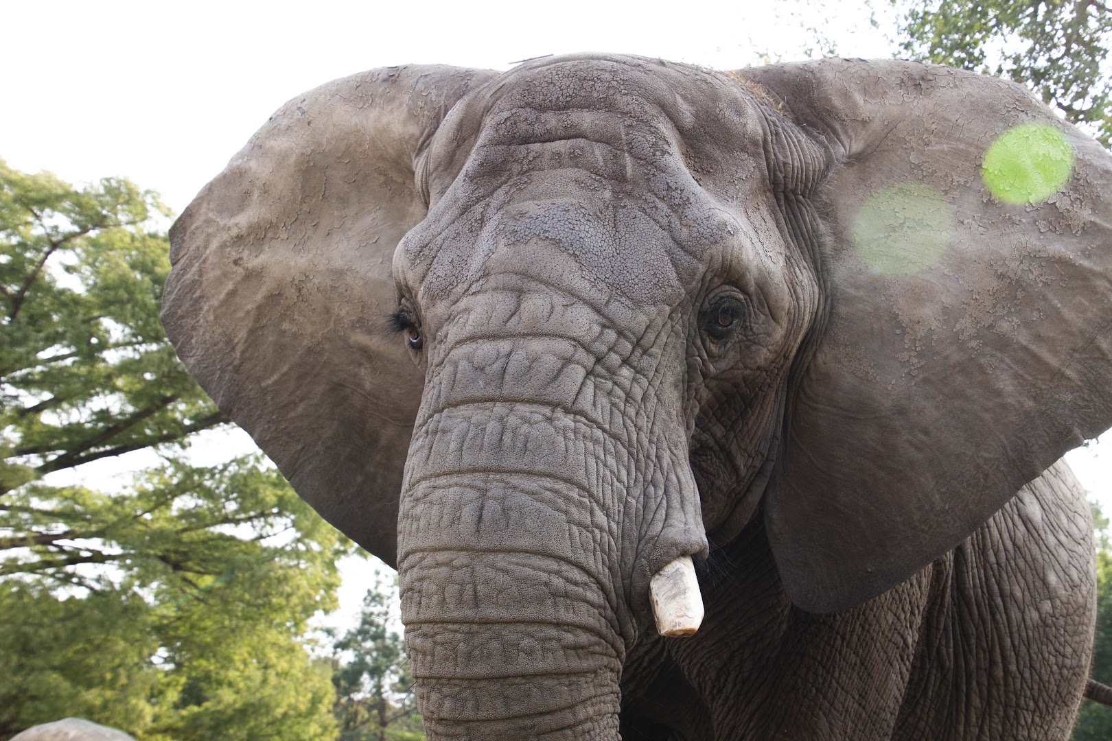 Topeka Zoo