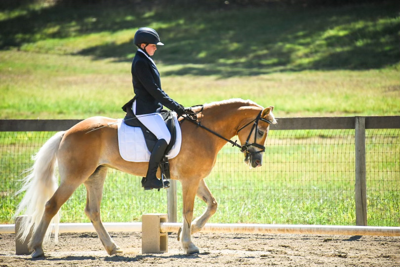 Photo of Total equestrian experience in California