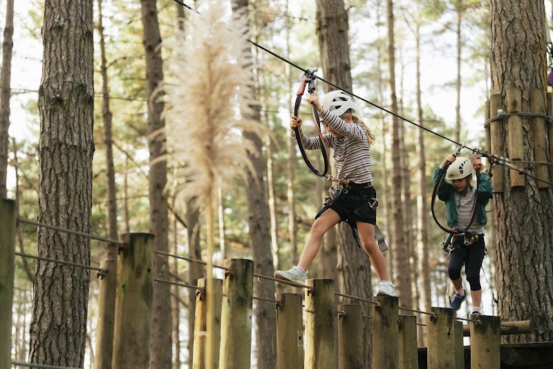 Tree Adventures