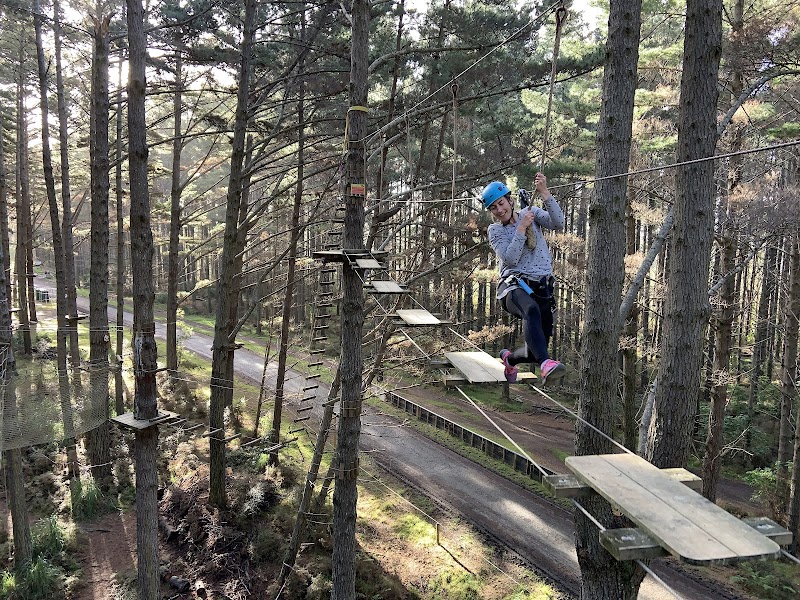 Tree Adventures photo 2