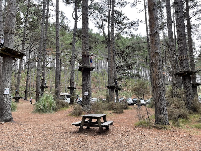 Tree Adventures photo 3