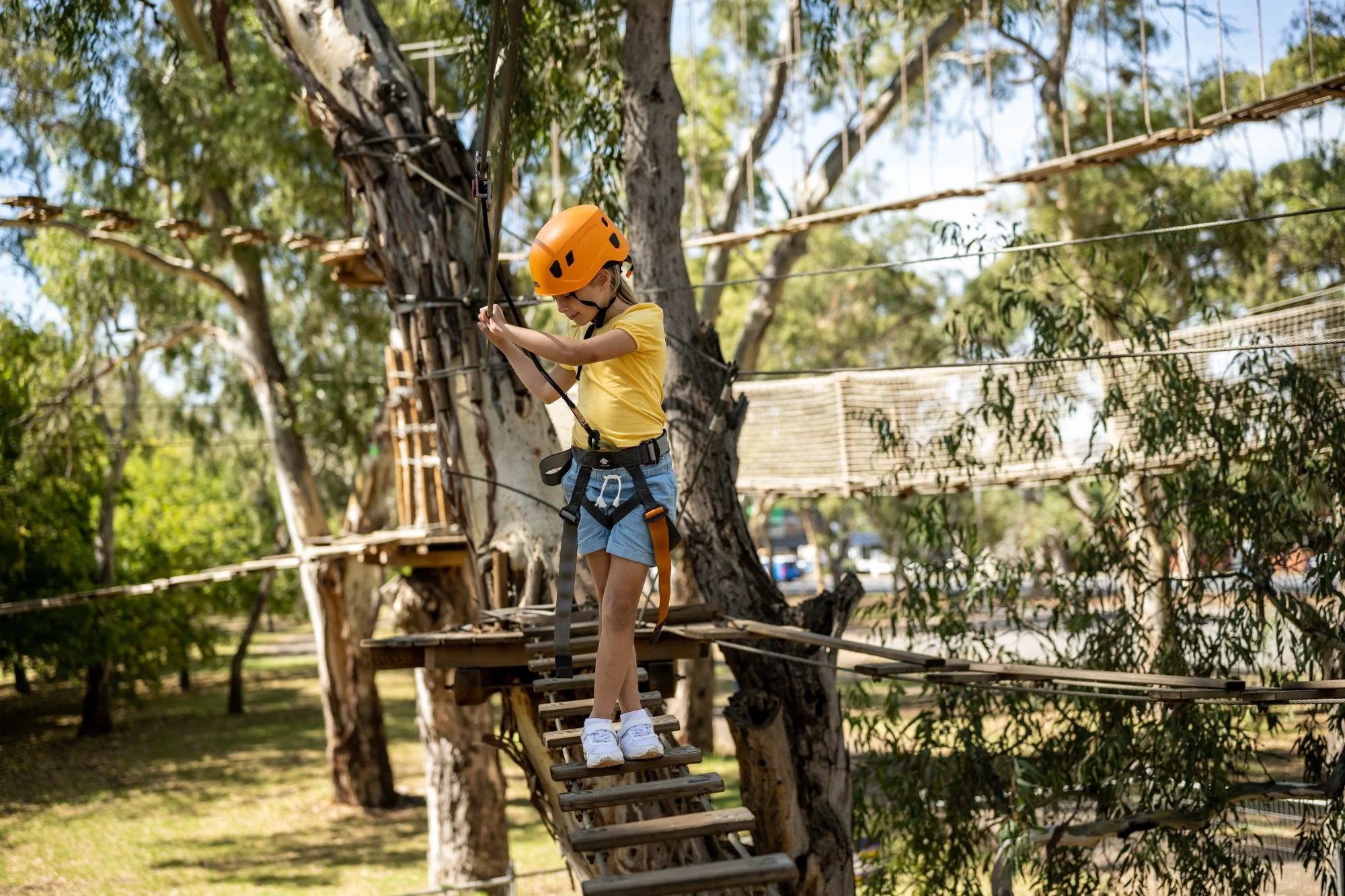 TreeClimb Adelaide photo 2