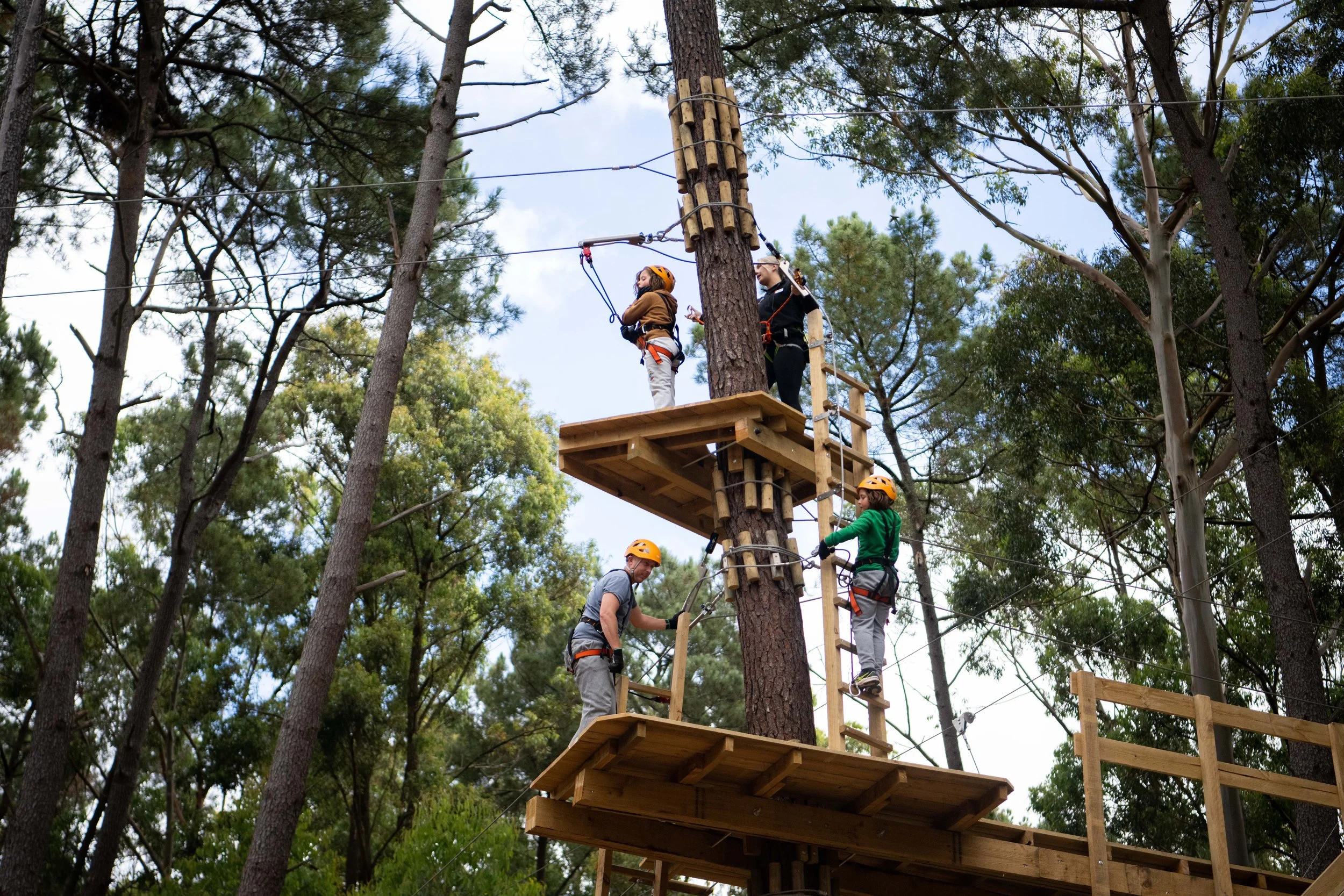 TreeClimb Adelaide photo 3